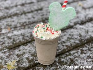 Cookie Butter Milkshake Recipe - Diznify